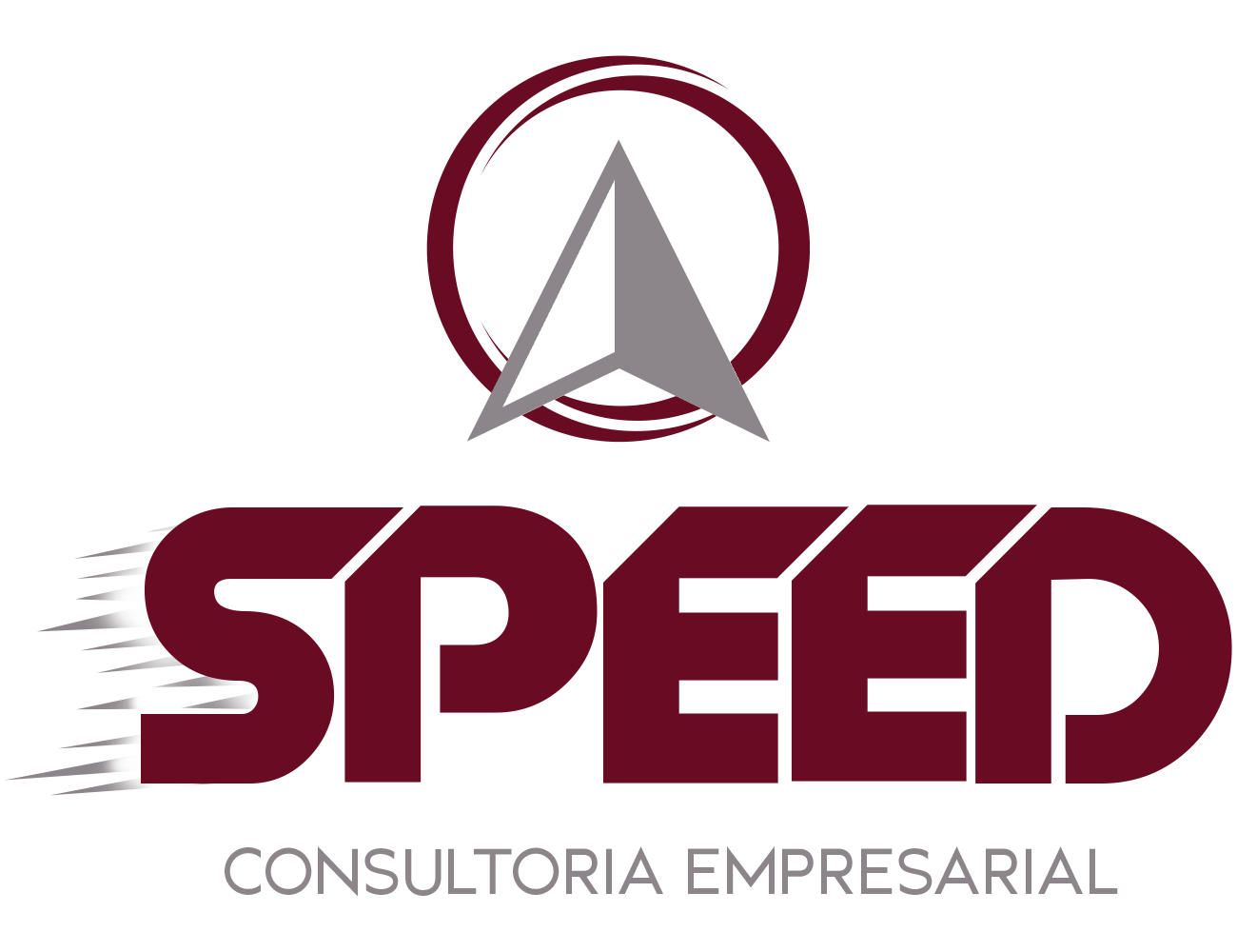 SPEED - consultoria empresarial v3 (Ap 01)